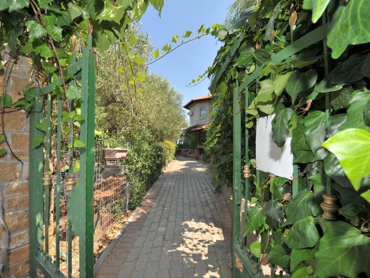 Alice Wonderland Home Nea Flogita Halkidiki Exterior foto